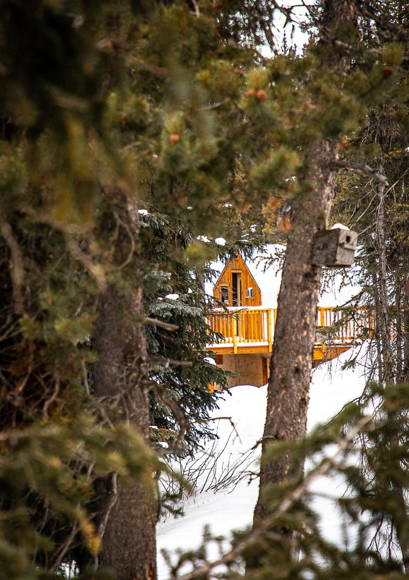Mount Engadine Lodge Kananaskis Exterior foto